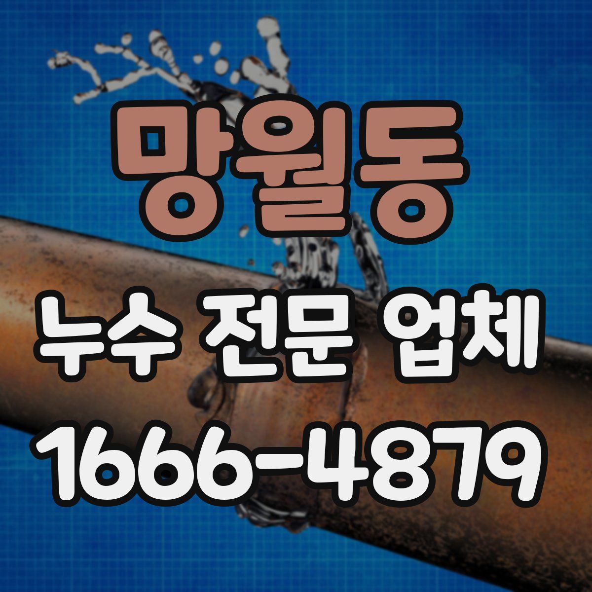 망월동 누수 전문 업체