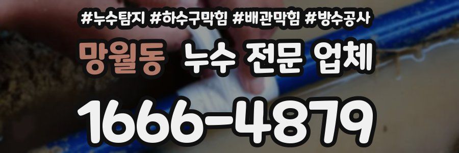 망월동 누수 전문 업체