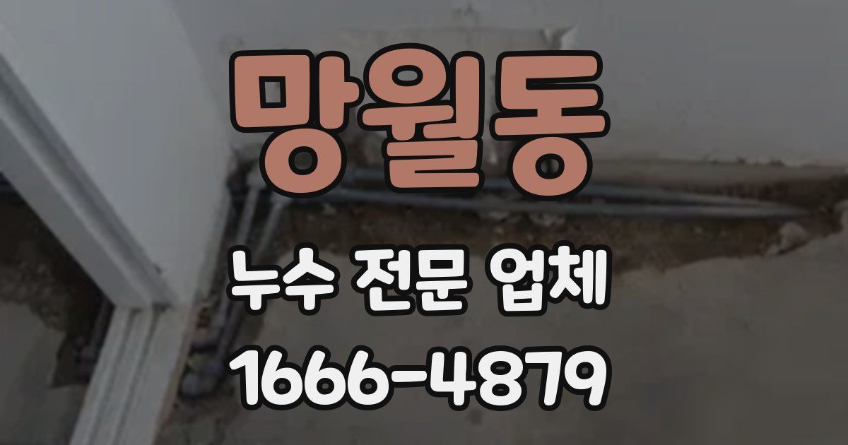 망월동 누수 전문 업체
