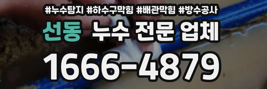 선동 누수 전문 업체