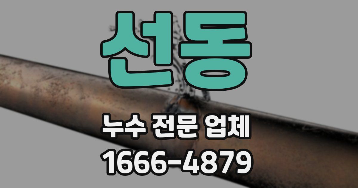 선동 누수 전문 업체
