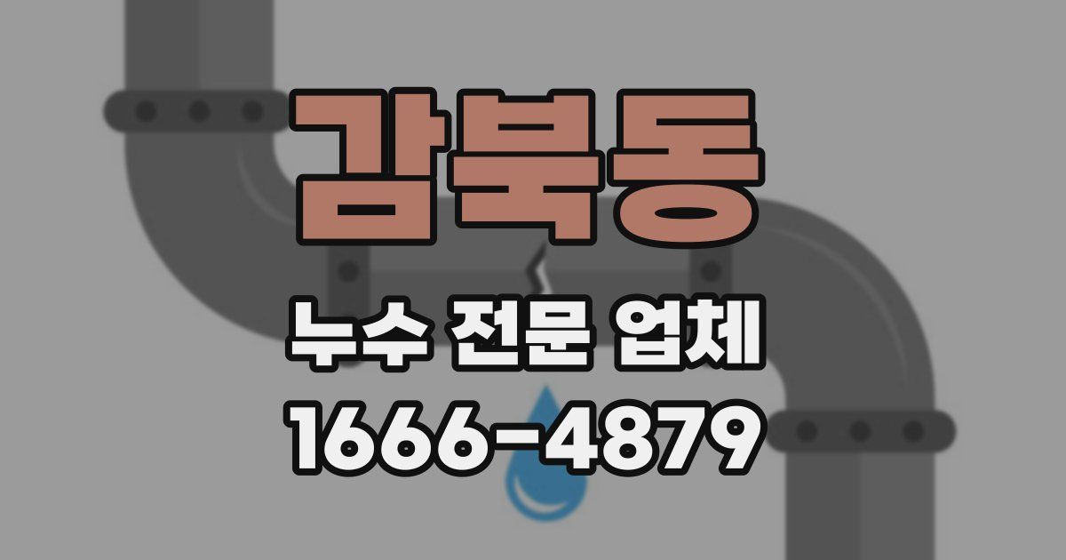 감북동 누수 전문 업체