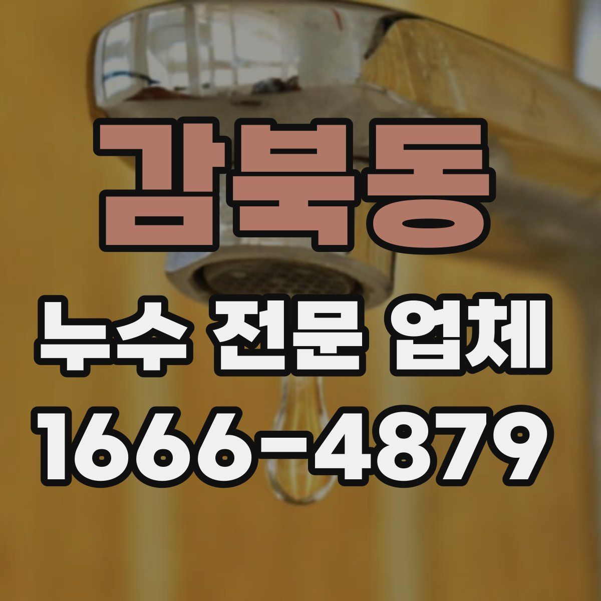 감북동 누수 전문 업체