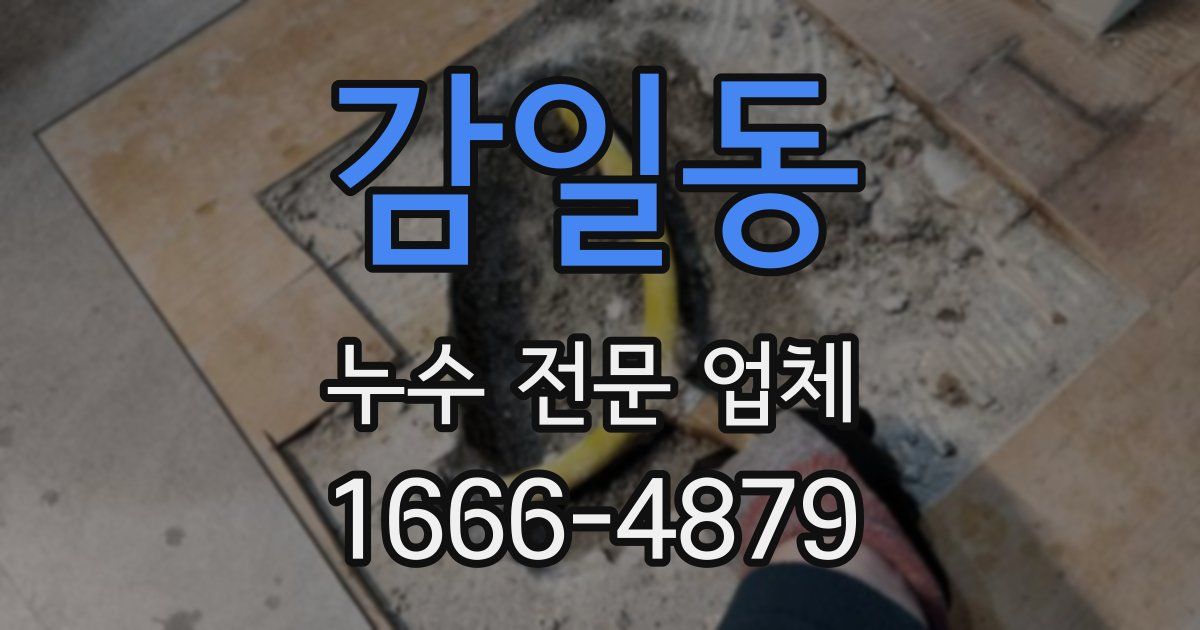 감일동 누수 전문 업체