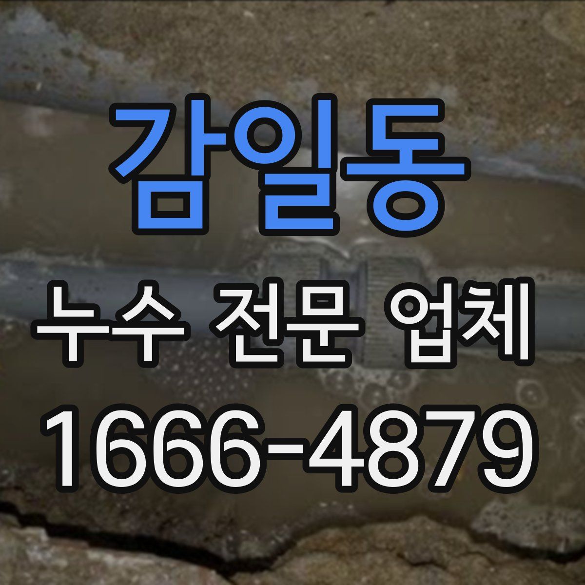 감일동 누수 전문 업체