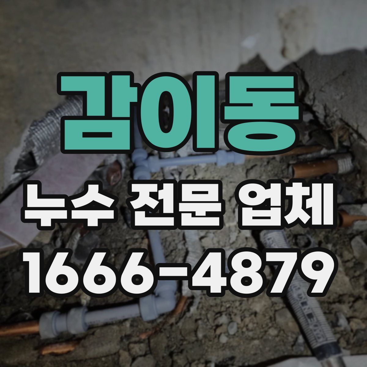 감이동 누수 전문 업체