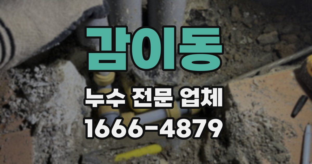 감이동 누수 전문 업체