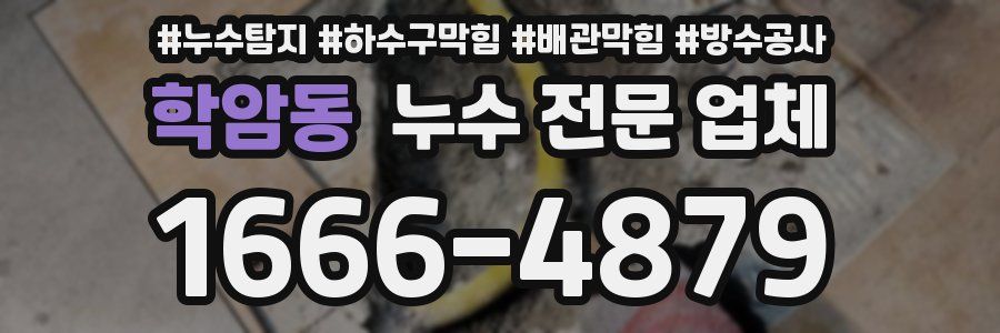 학암동 누수 전문 업체