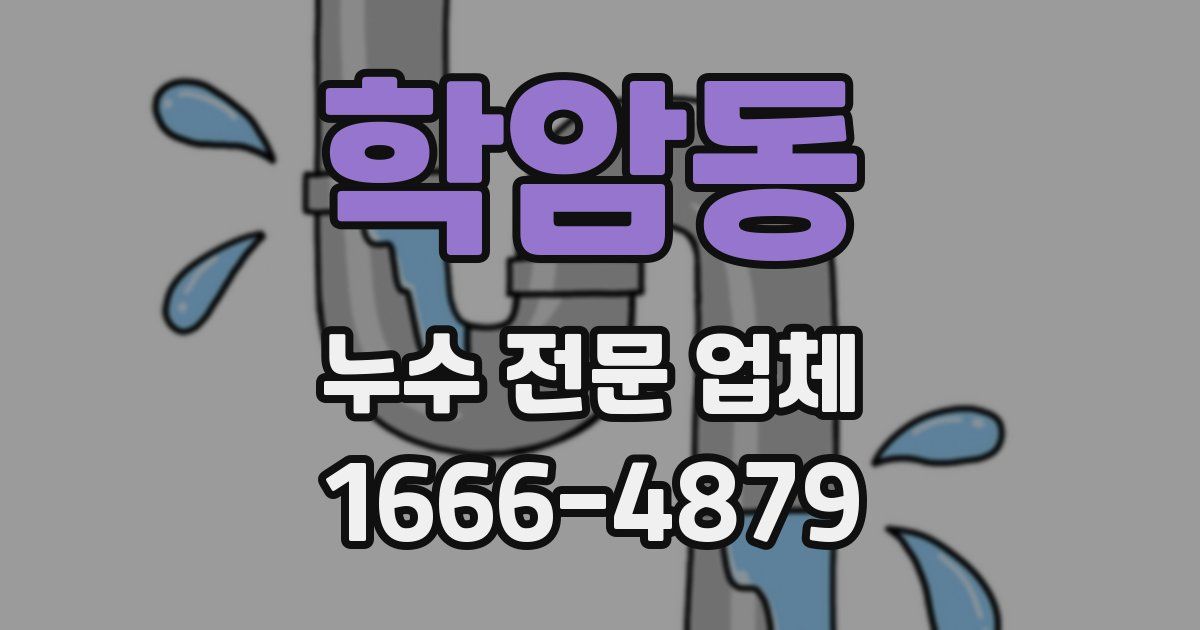 학암동 누수 전문 업체