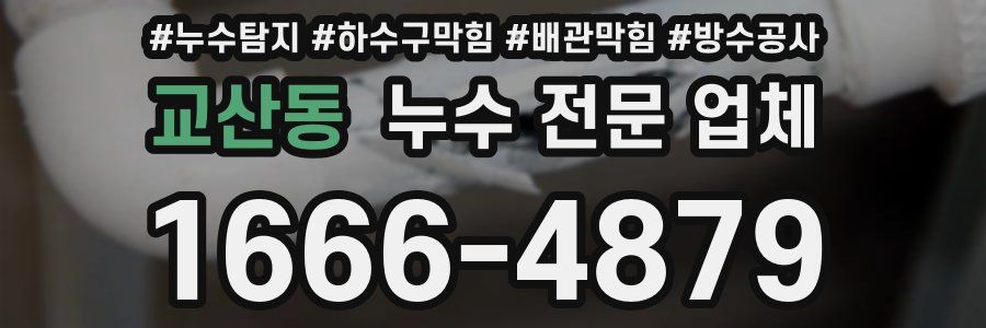 교산동 누수 전문 업체