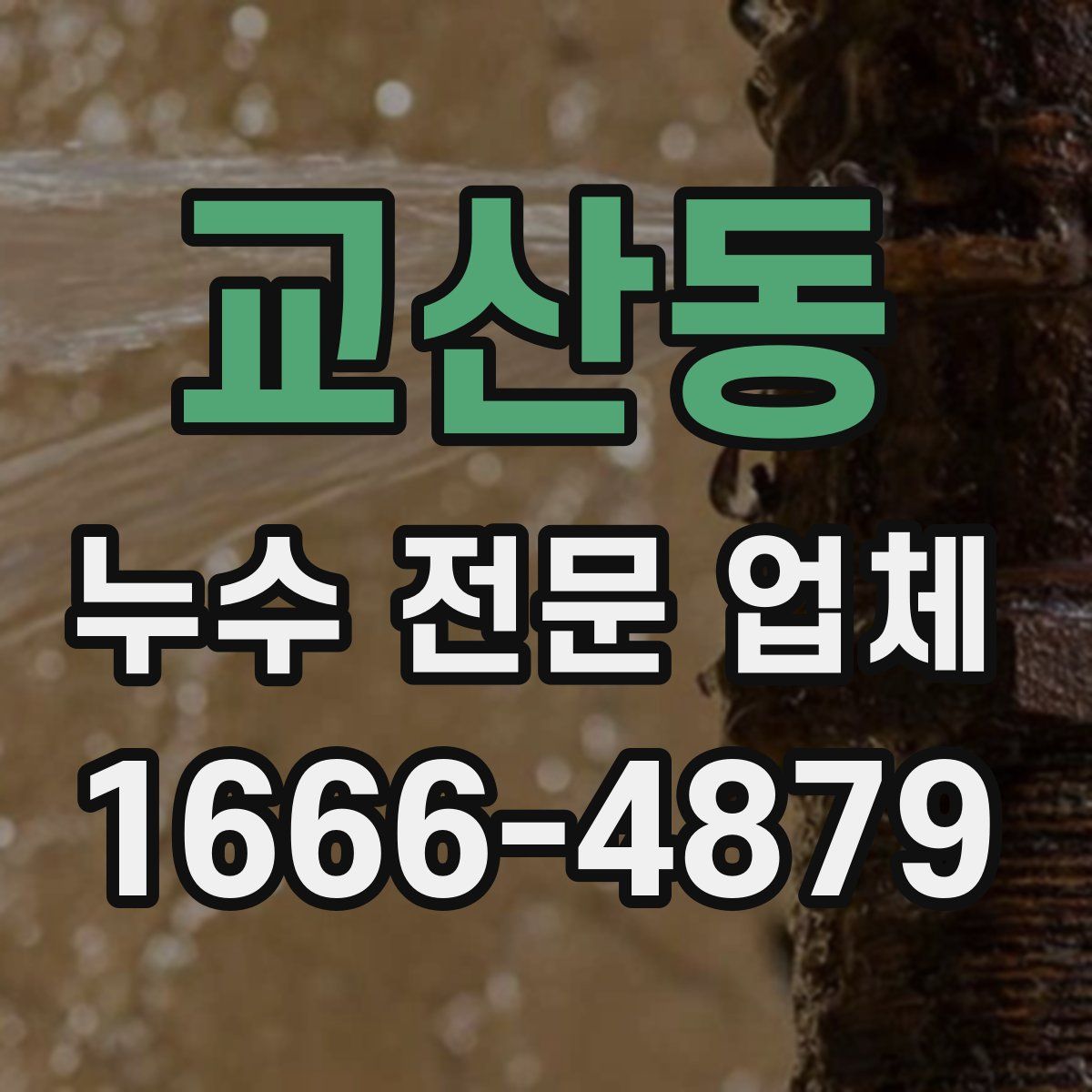 교산동 누수 전문 업체