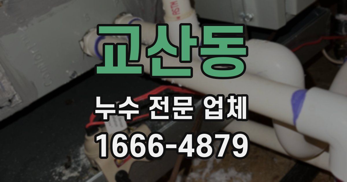 교산동 누수 전문 업체