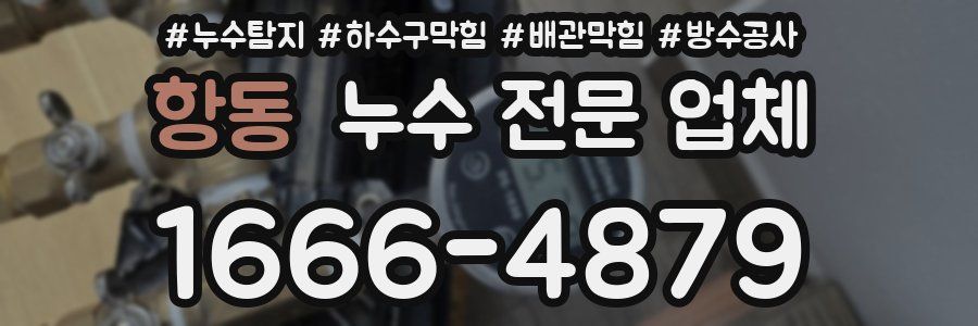 항동 누수 전문 업체
