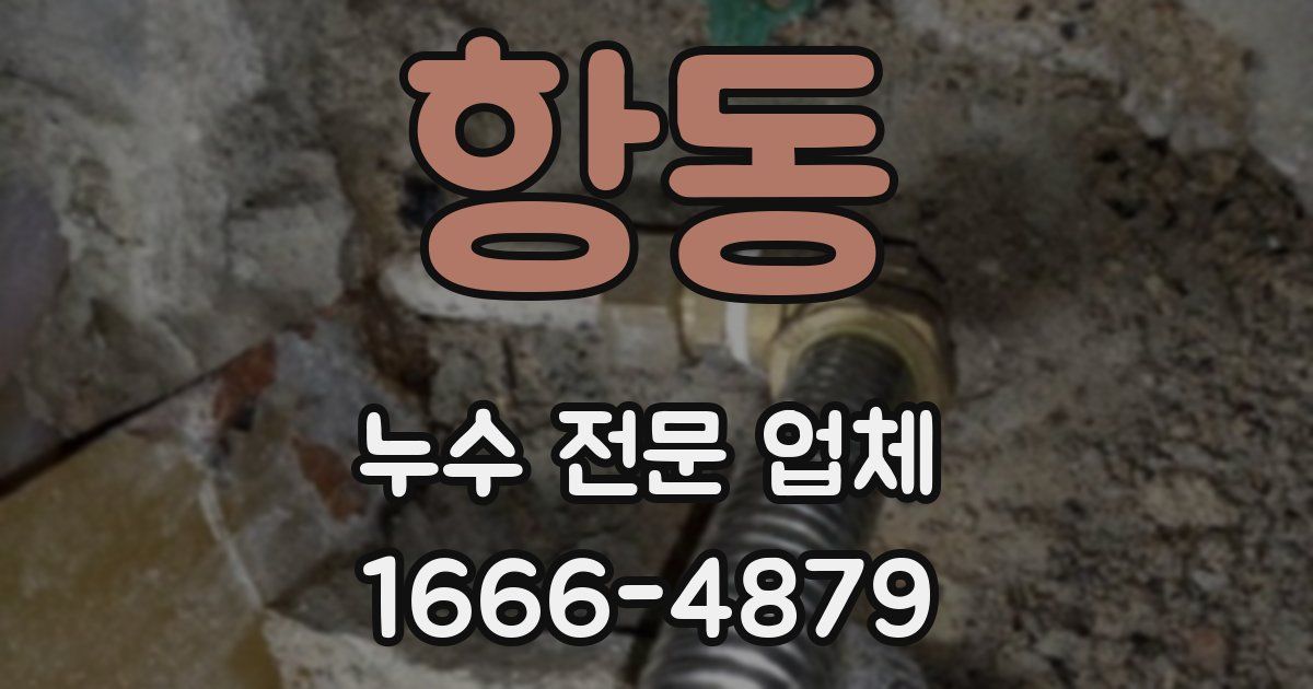 항동 누수 전문 업체