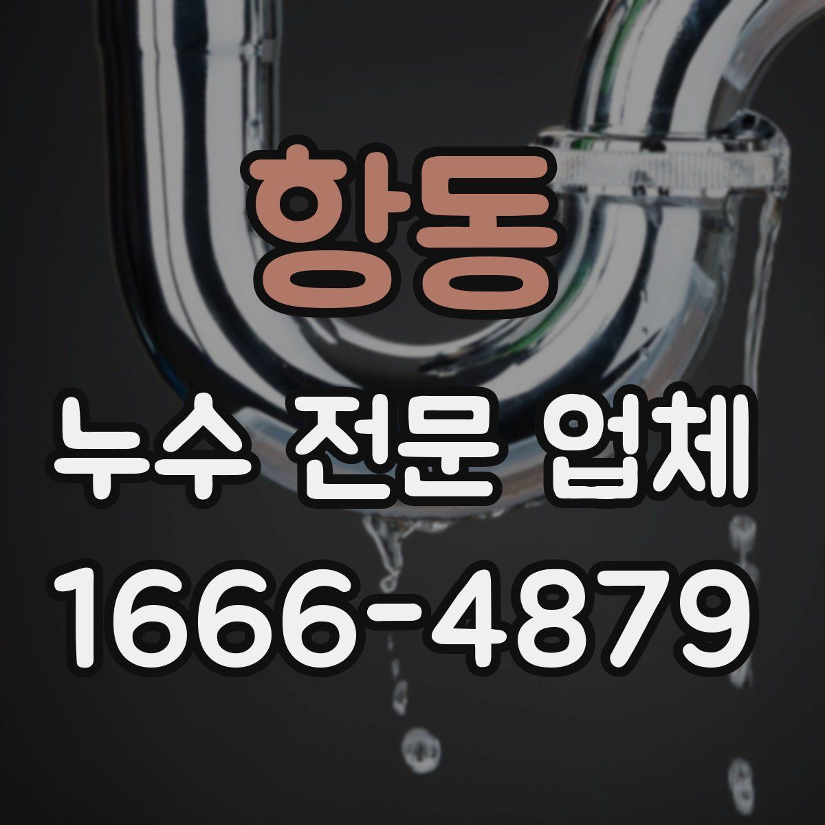 항동 누수 전문 업체