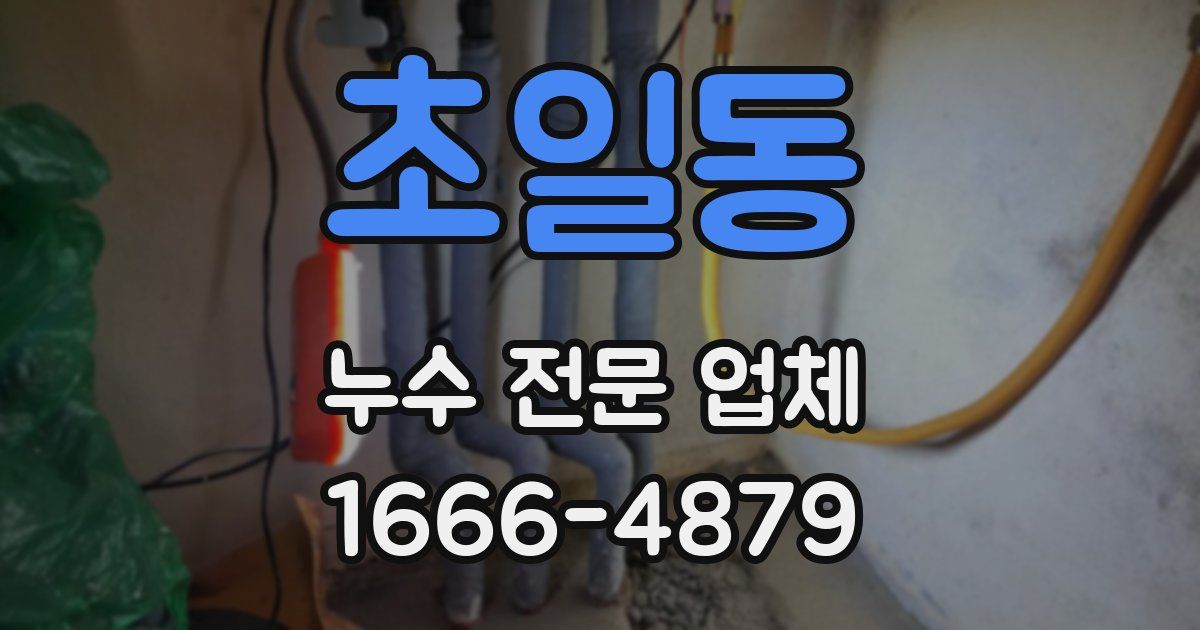 초일동 누수 전문 업체