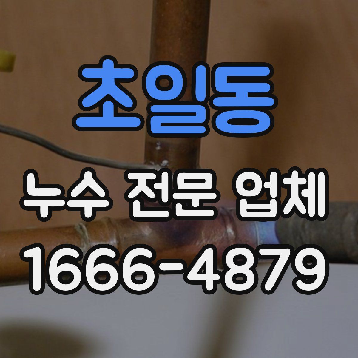 초일동 누수 전문 업체