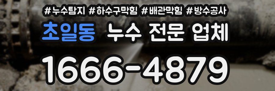 초일동 누수 전문 업체