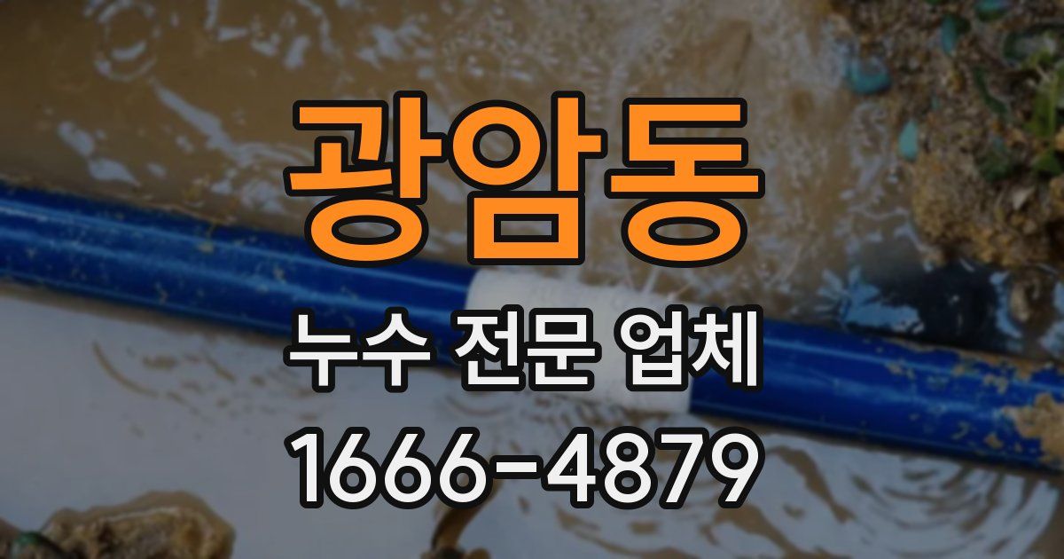 광암동 누수 전문 업체