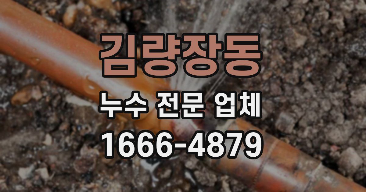 김량장동 누수 전문 업체