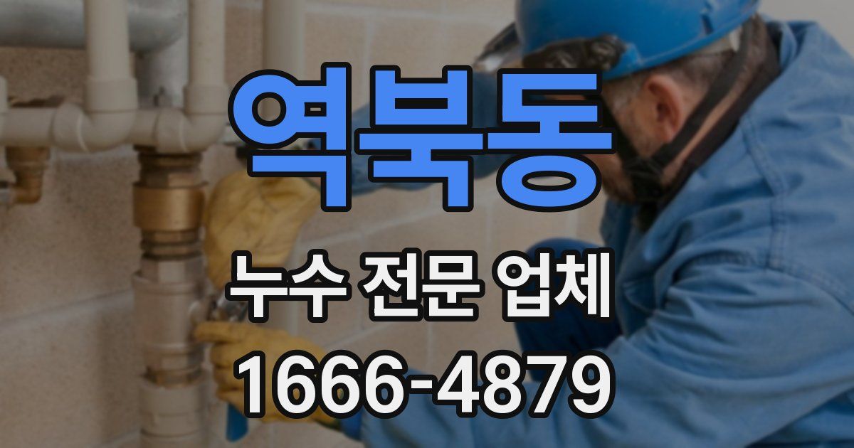 역북동 누수 전문 업체