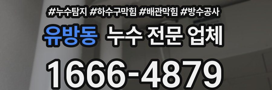 유방동 누수 전문 업체