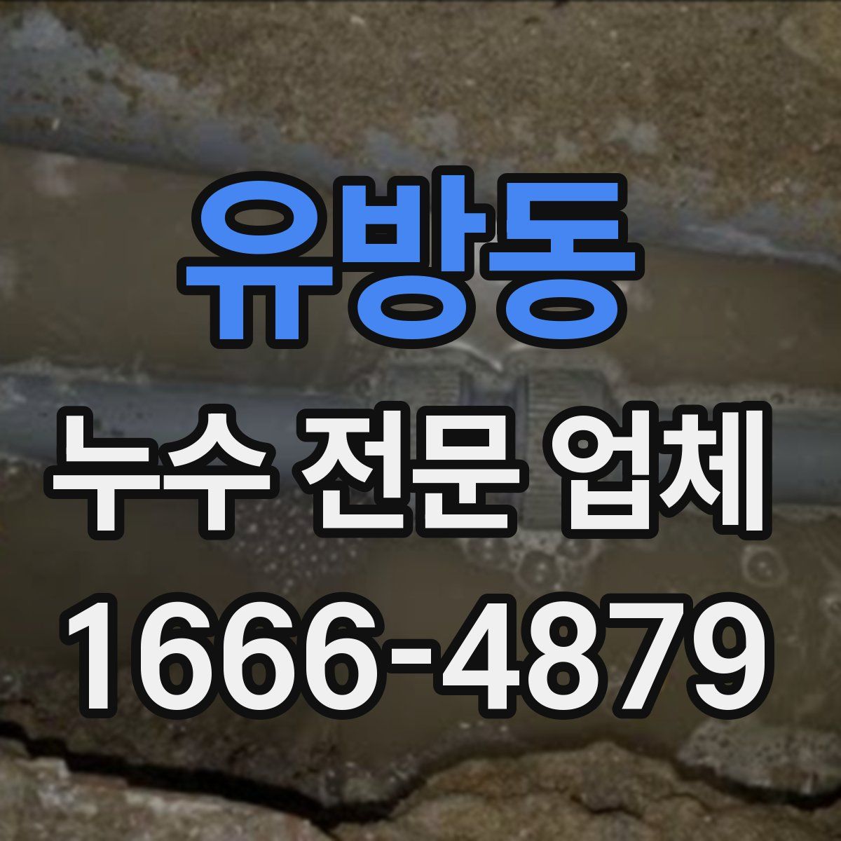 유방동 누수 전문 업체