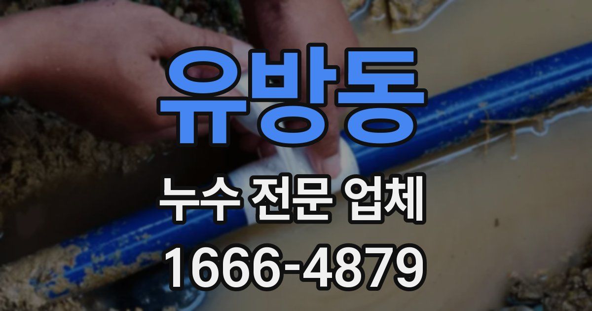 유방동 누수 전문 업체