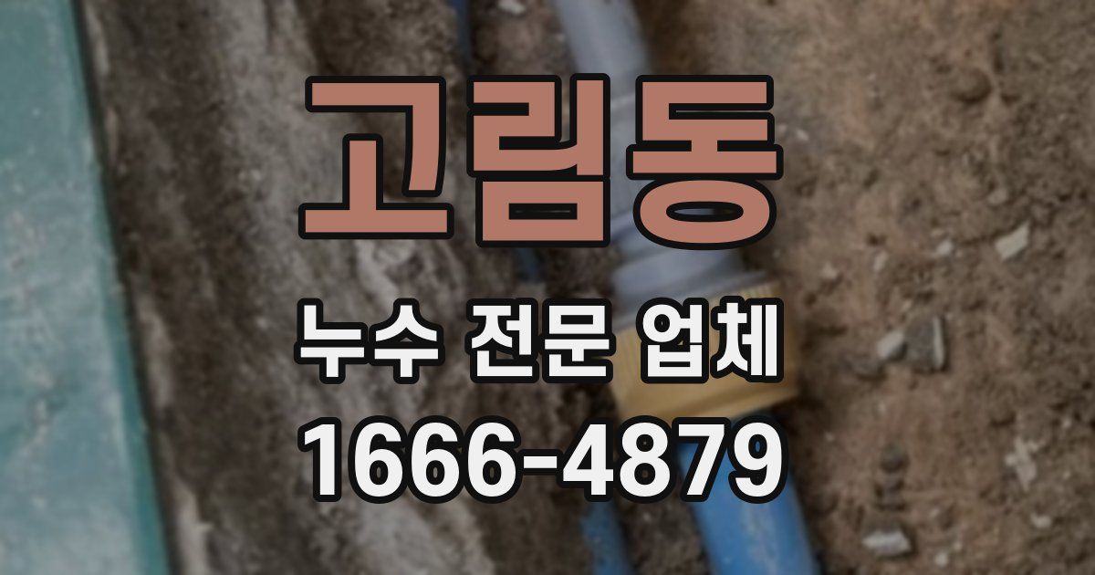고림동 누수 전문 업체