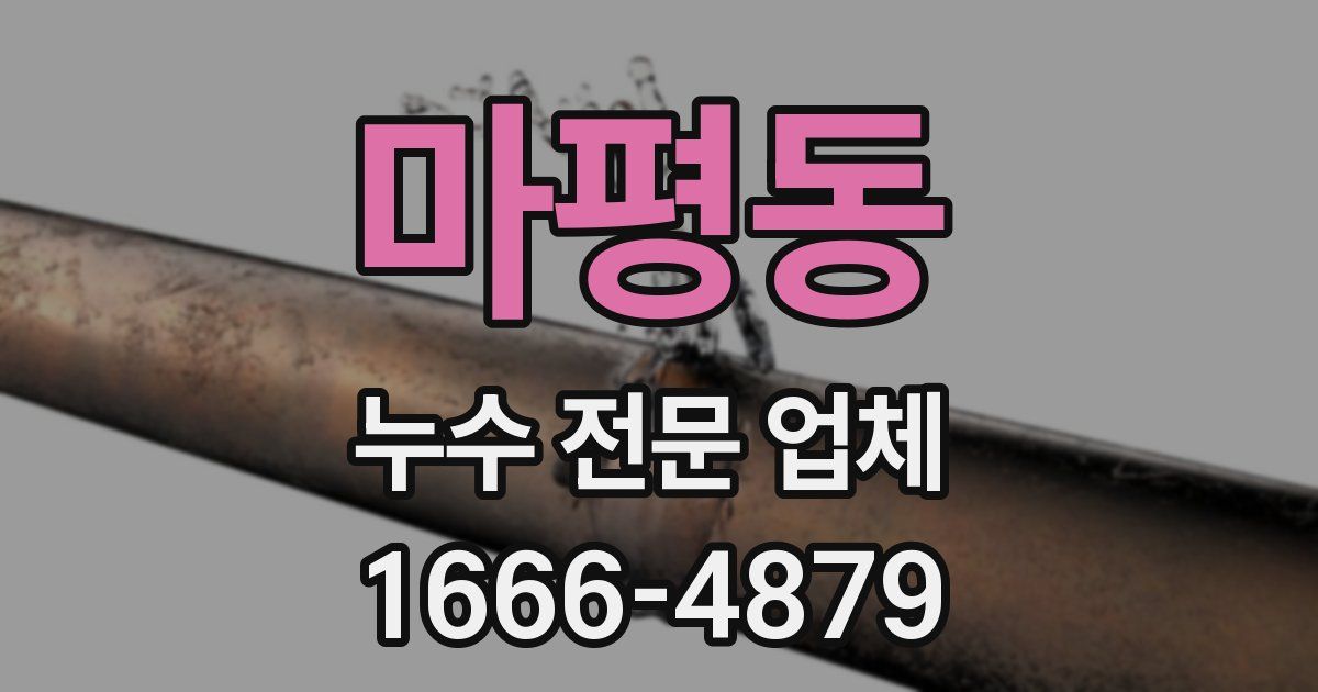 마평동 누수 전문 업체