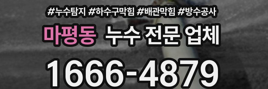 마평동 누수 전문 업체