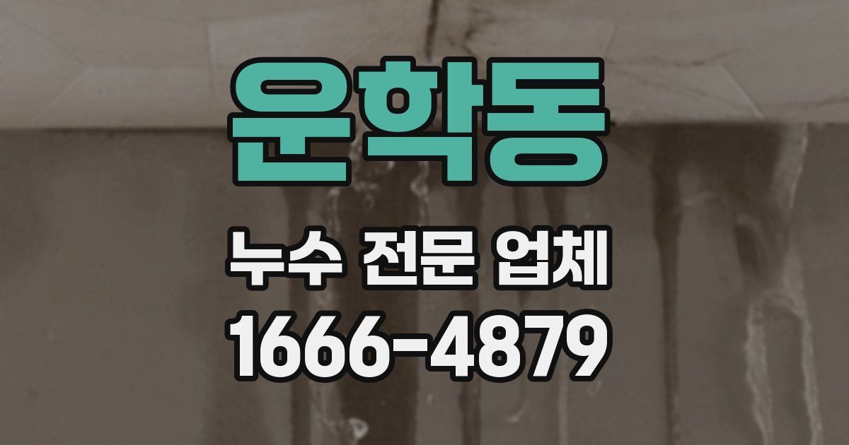 운학동 누수 전문 업체