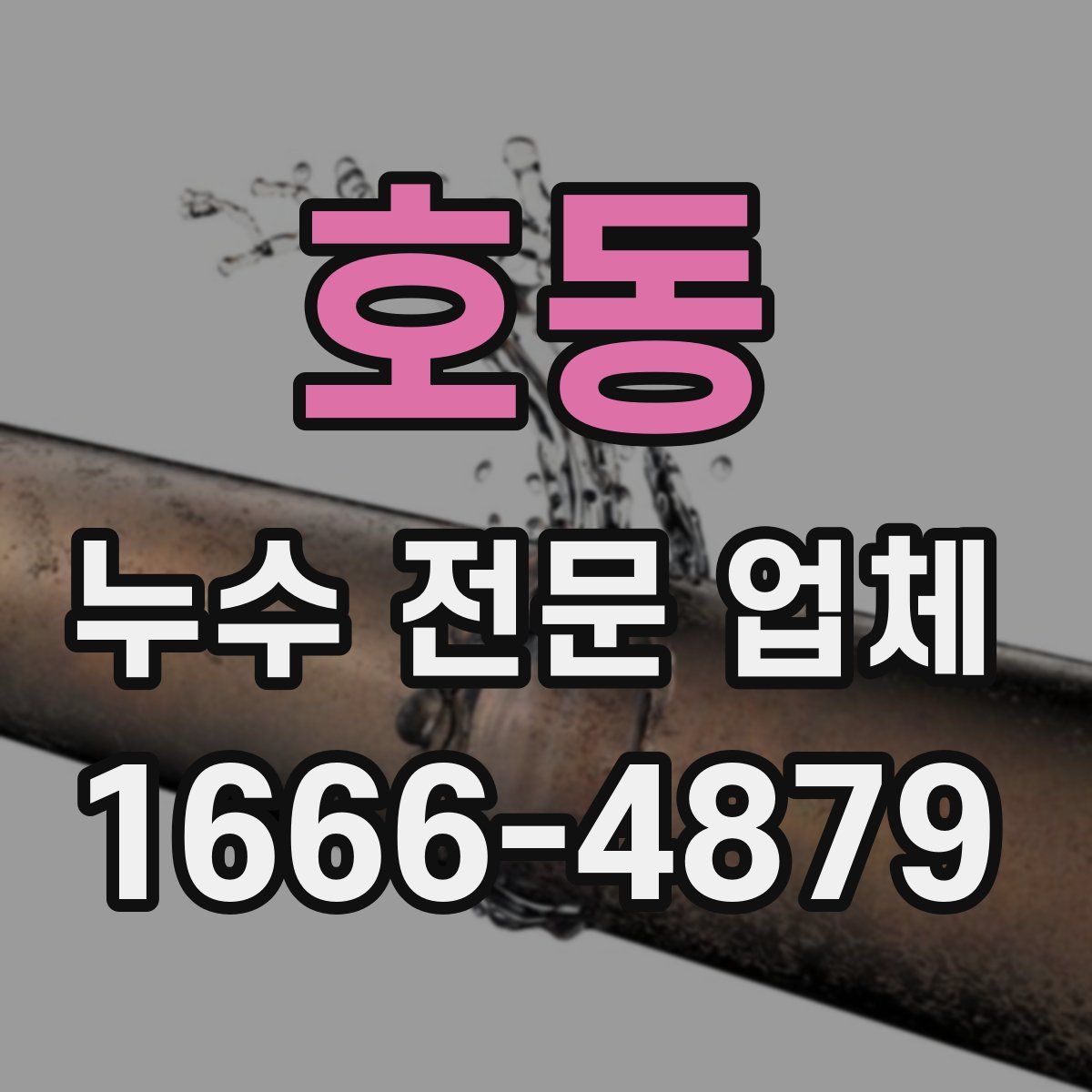 호동 누수 전문 업체