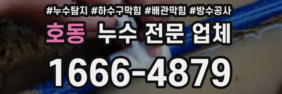 호동 누수 전문 업체