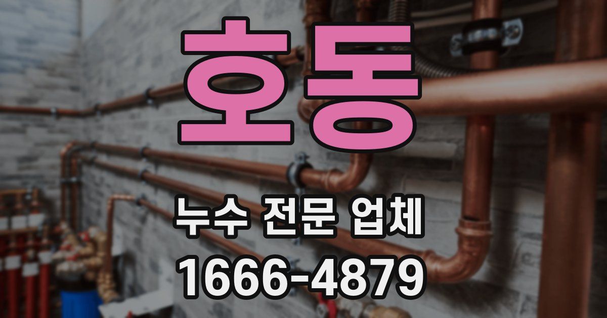 호동 누수 전문 업체