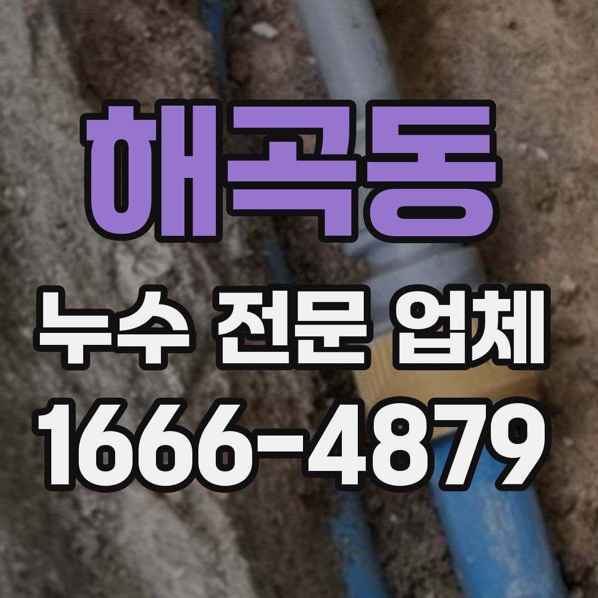 해곡동 누수 전문 업체