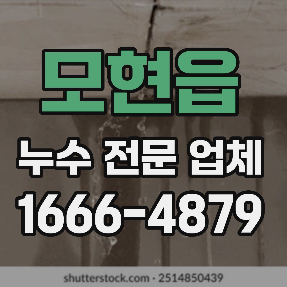 모현읍 누수 전문 업체