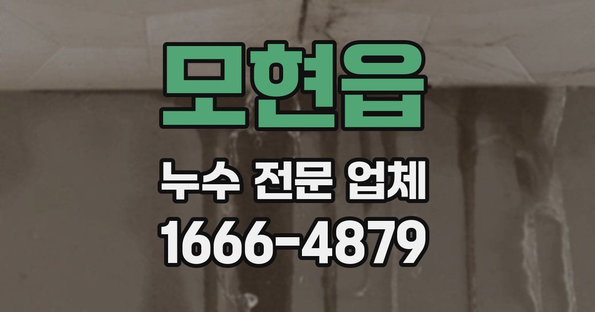 모현읍 누수 전문 업체