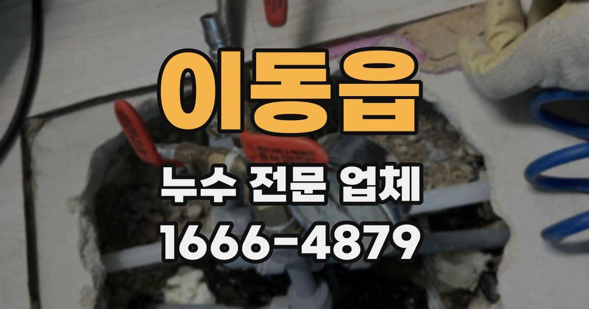 이동읍 누수 전문 업체