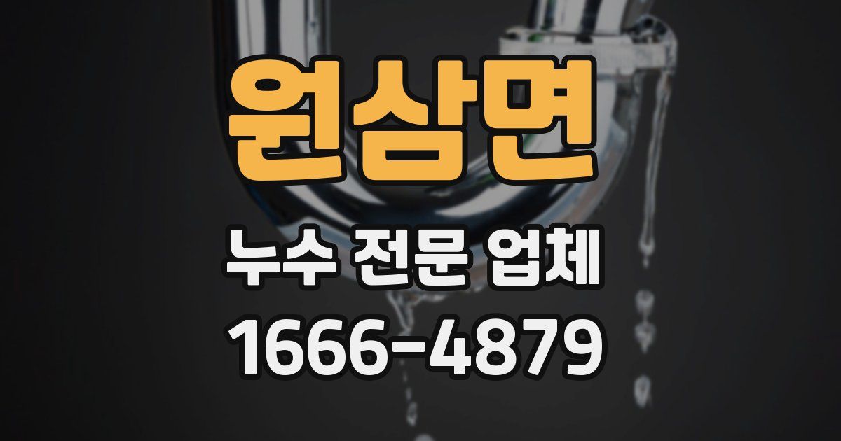 원삼면 누수 전문 업체