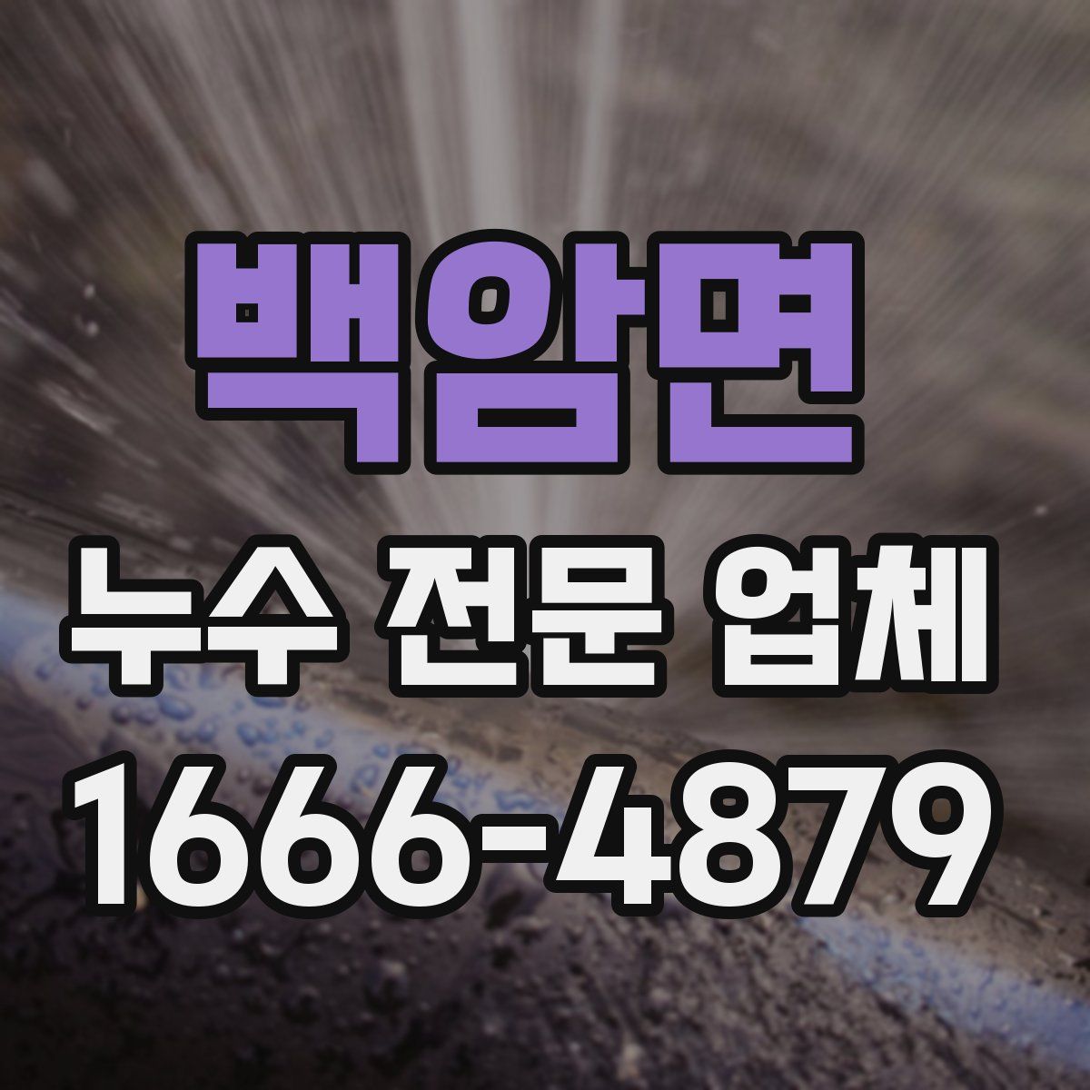 백암면 누수 전문 업체