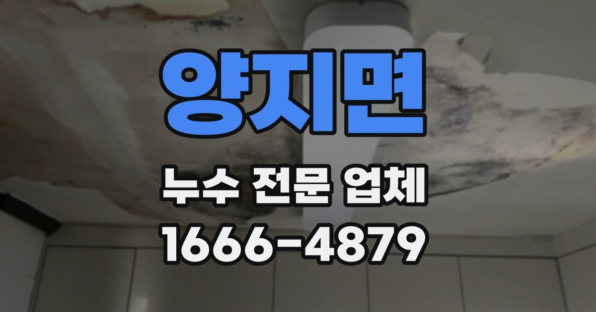 양지면 누수 전문 업체