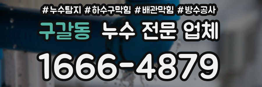구갈동 누수 전문 업체