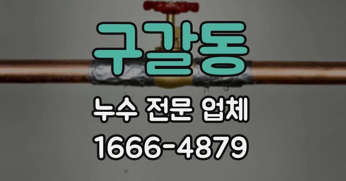 구갈동 누수 전문 업체