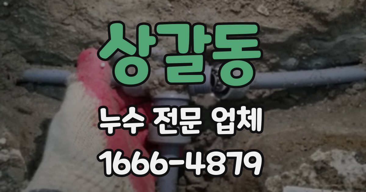상갈동 누수 전문 업체