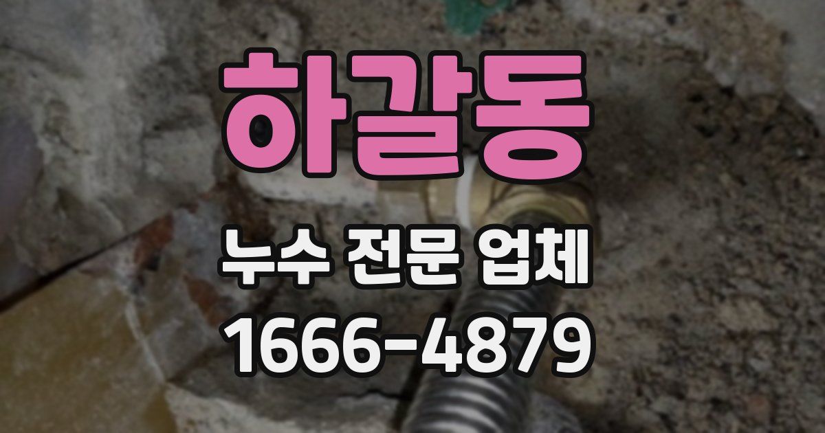하갈동 누수 전문 업체