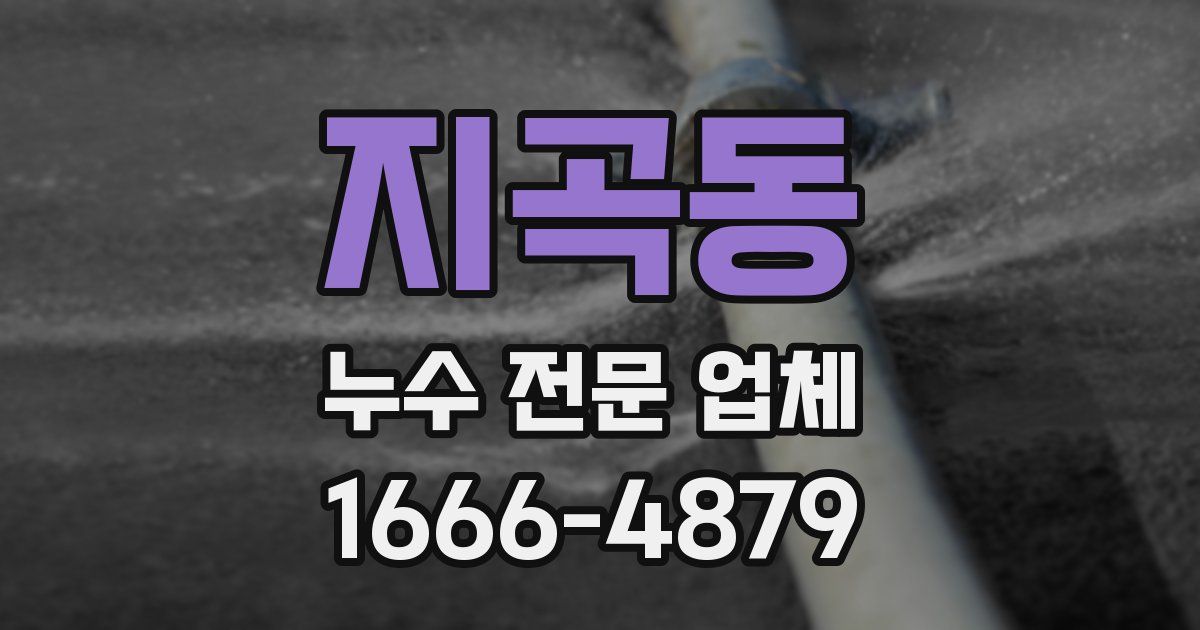 지곡동 누수 전문 업체