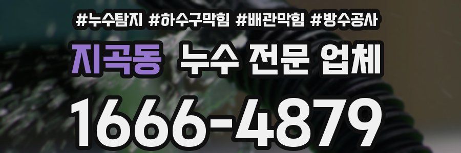 지곡동 누수 전문 업체