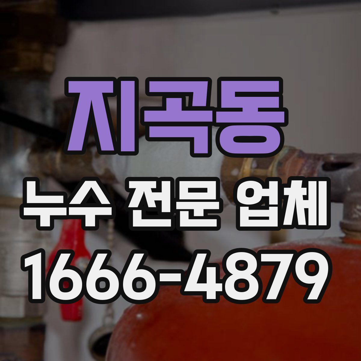 지곡동 누수 전문 업체