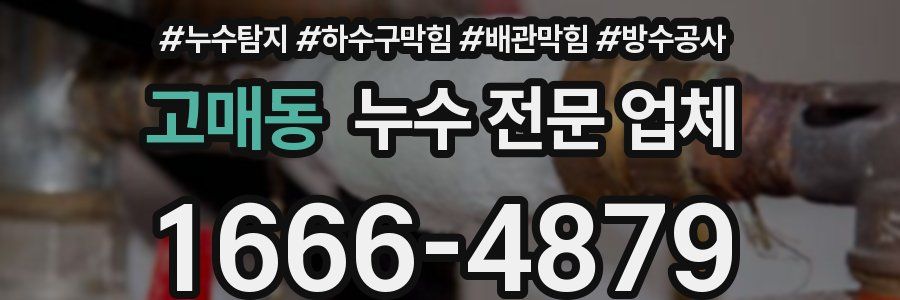 고매동 누수 전문 업체